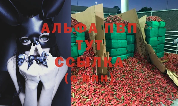 гашик Алексеевка